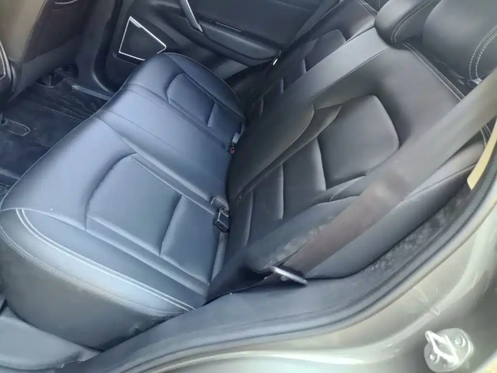 صورة 17 - Geely Atlas