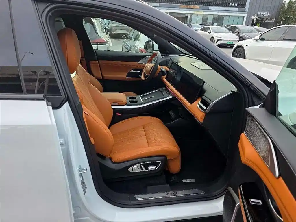 Фото 6 - XPeng G9