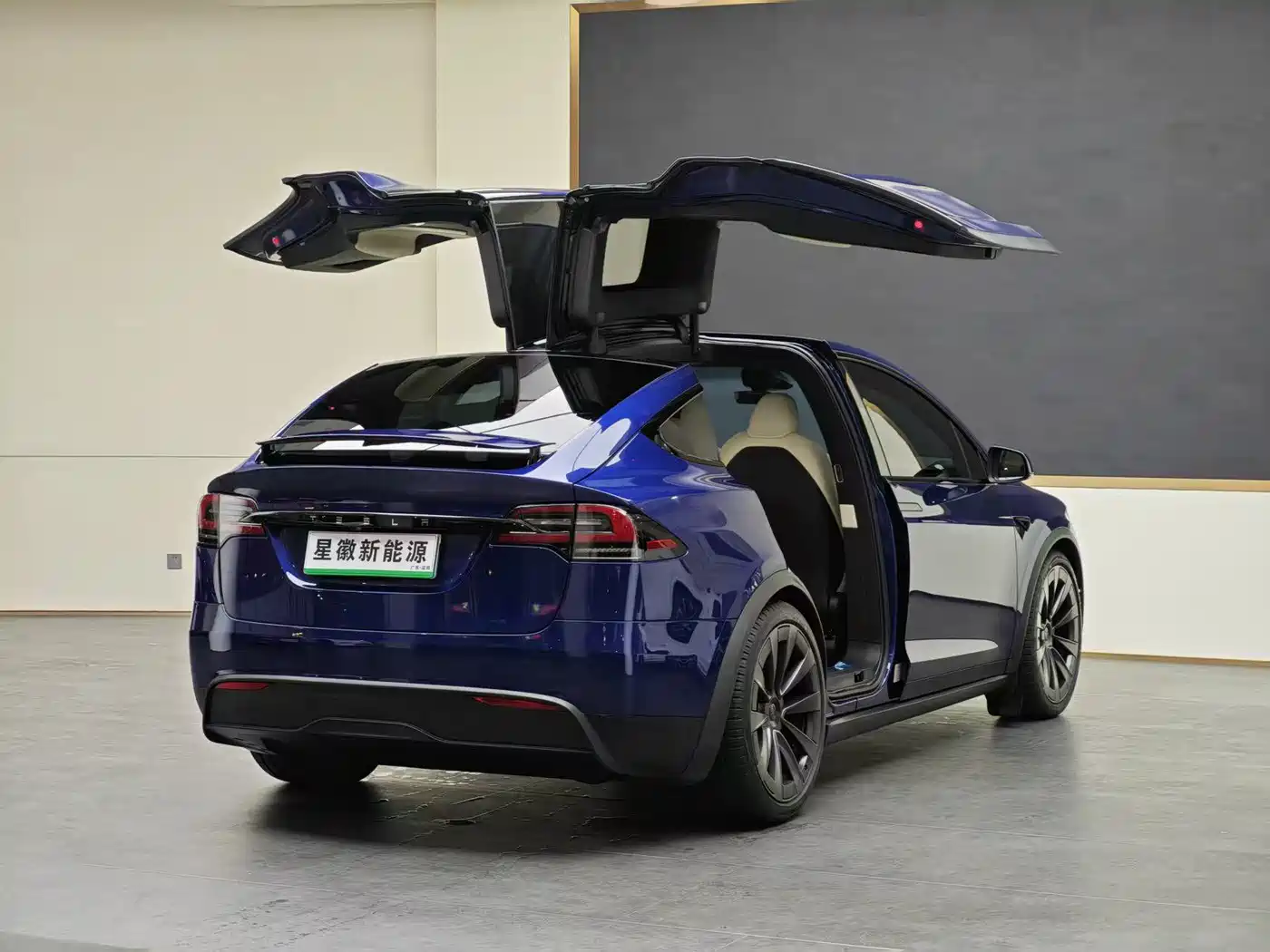 Tesla Model X 2023 Dual Motor All-Wheel Drive Edition фото 16