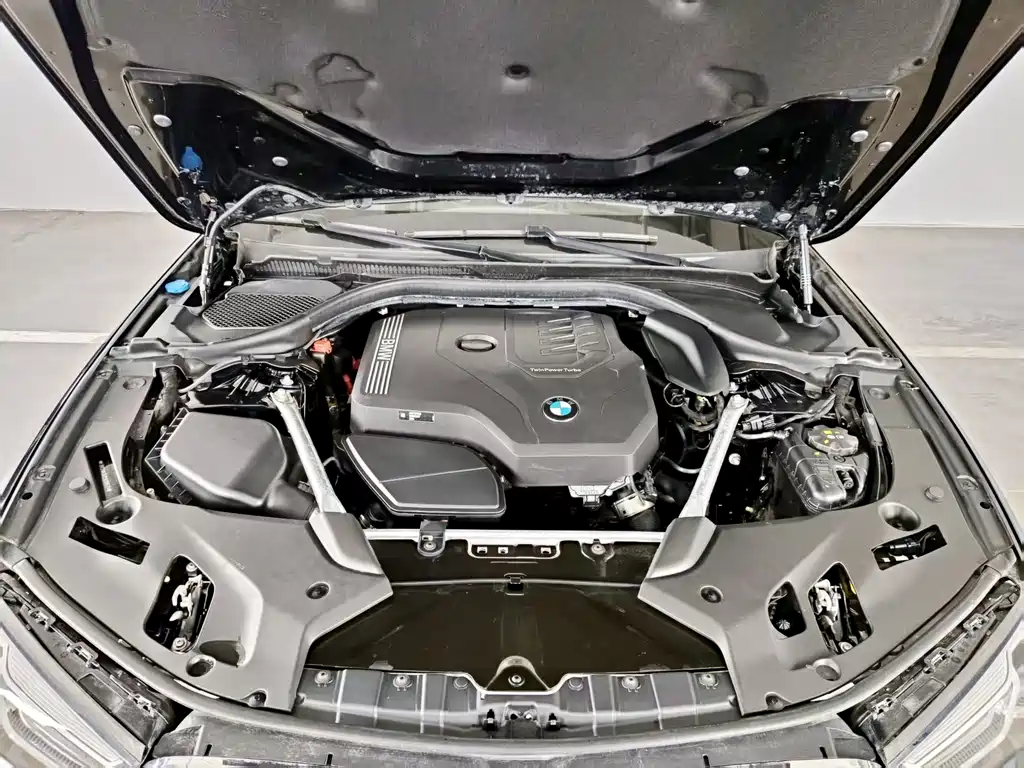 BMW 5 Series 2022 525Li Luxury Package фото 13