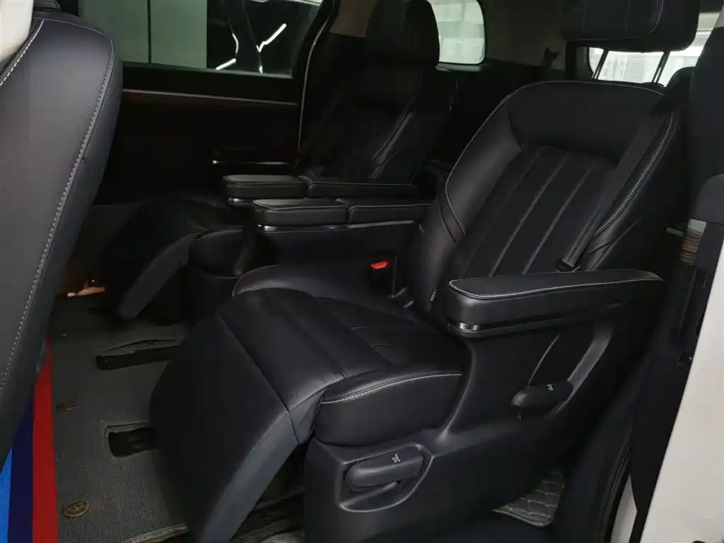 GAC Trumpchi Trumpchi M8 2020 Pilot 390T Prestige Edition фото 14