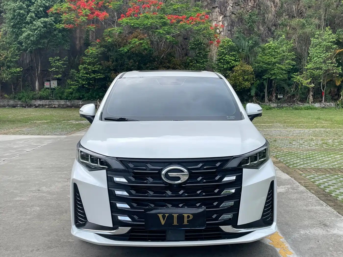 GAC Trumpchi Trumpchi M6 2023 PRO 270T DCT Prestige Edition фото 2