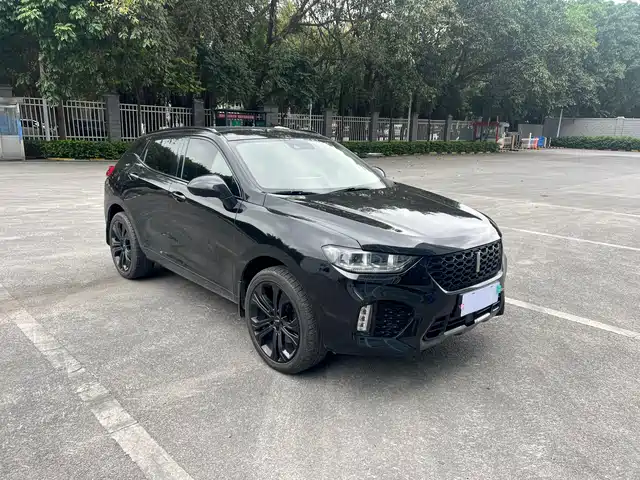 WEI PAI WEI BRAND VV5