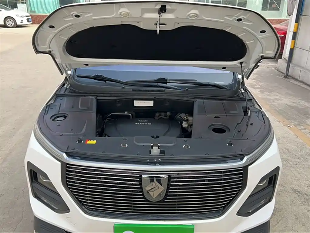 BAOJUN 530