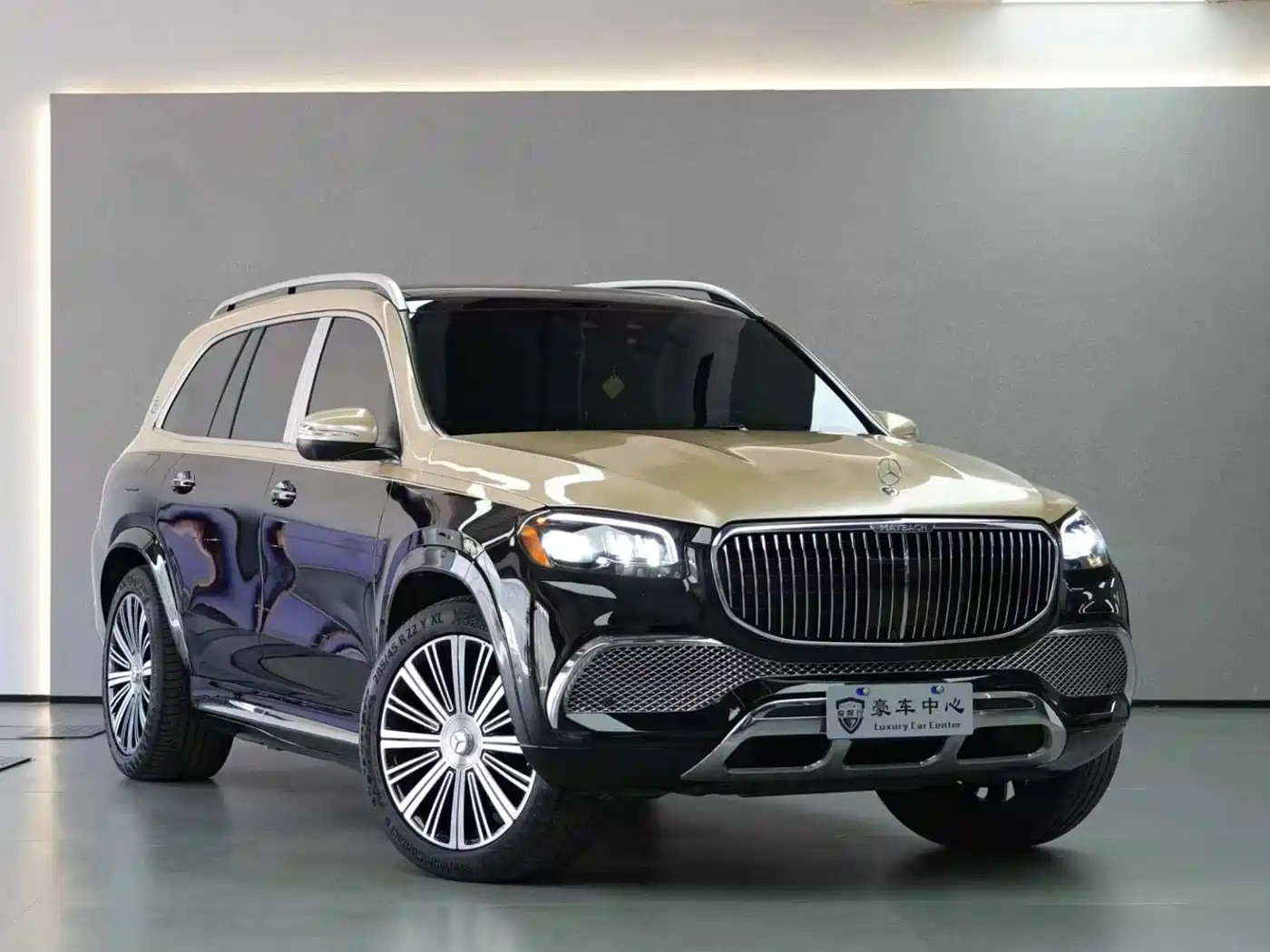 Mercedes-Benz Maybach GLS фото 2