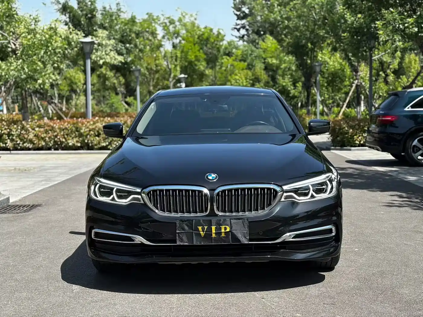 BMW 5 Series 2020 530Li Leading Luxury Package фото 2