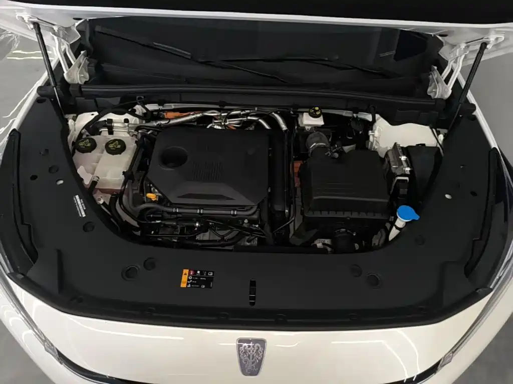 Photo 20 - Roewe D5X DMH