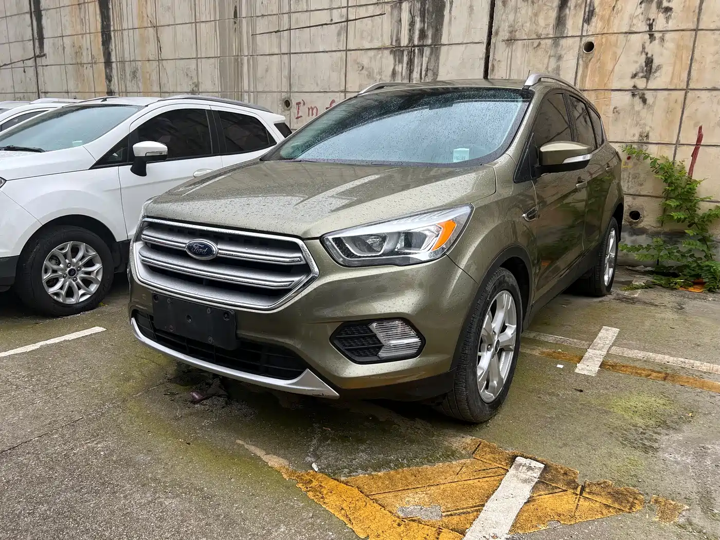 Фото 1 - Ford Kuga
