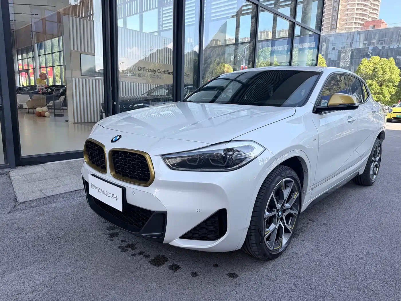 BMW X2 2024 2023 sDrive 25i Radiance Edition