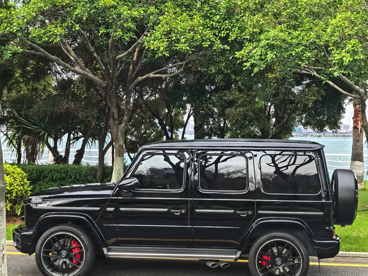 Mercedes-Benz G-Class AMG 2019 AMG G 63 фото 4