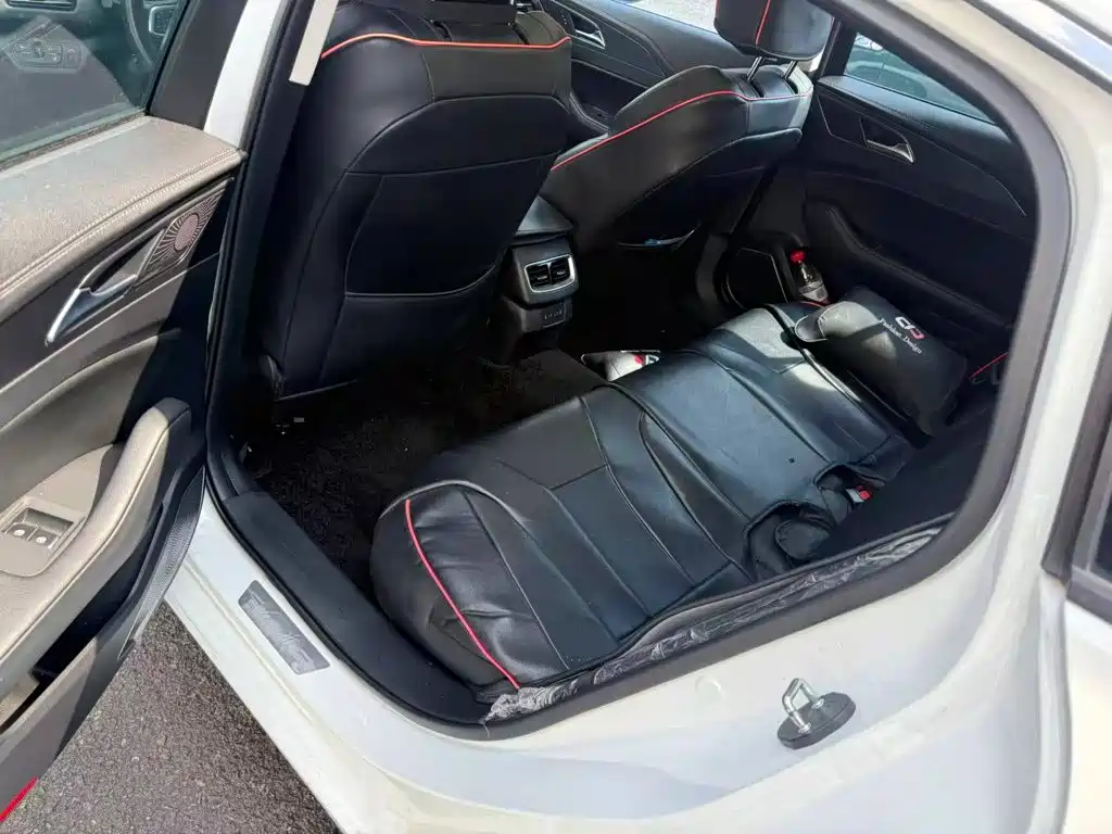 Фото 4 - Hongqi H5