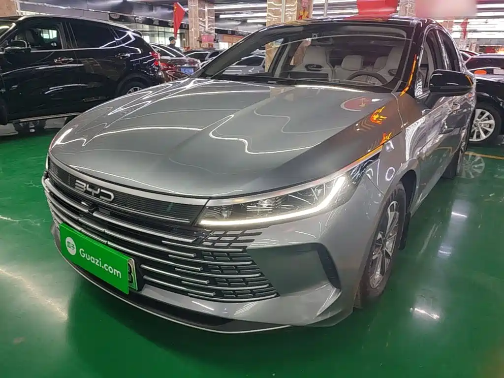  BYD Destroyer 05 2024 Glory Edition DM-i 55KM Luxury