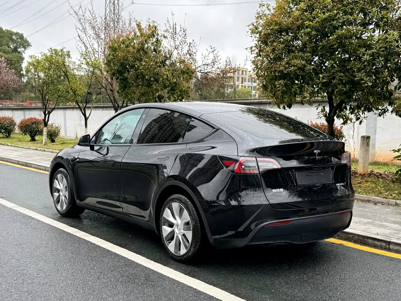 TESLA MODEL Y