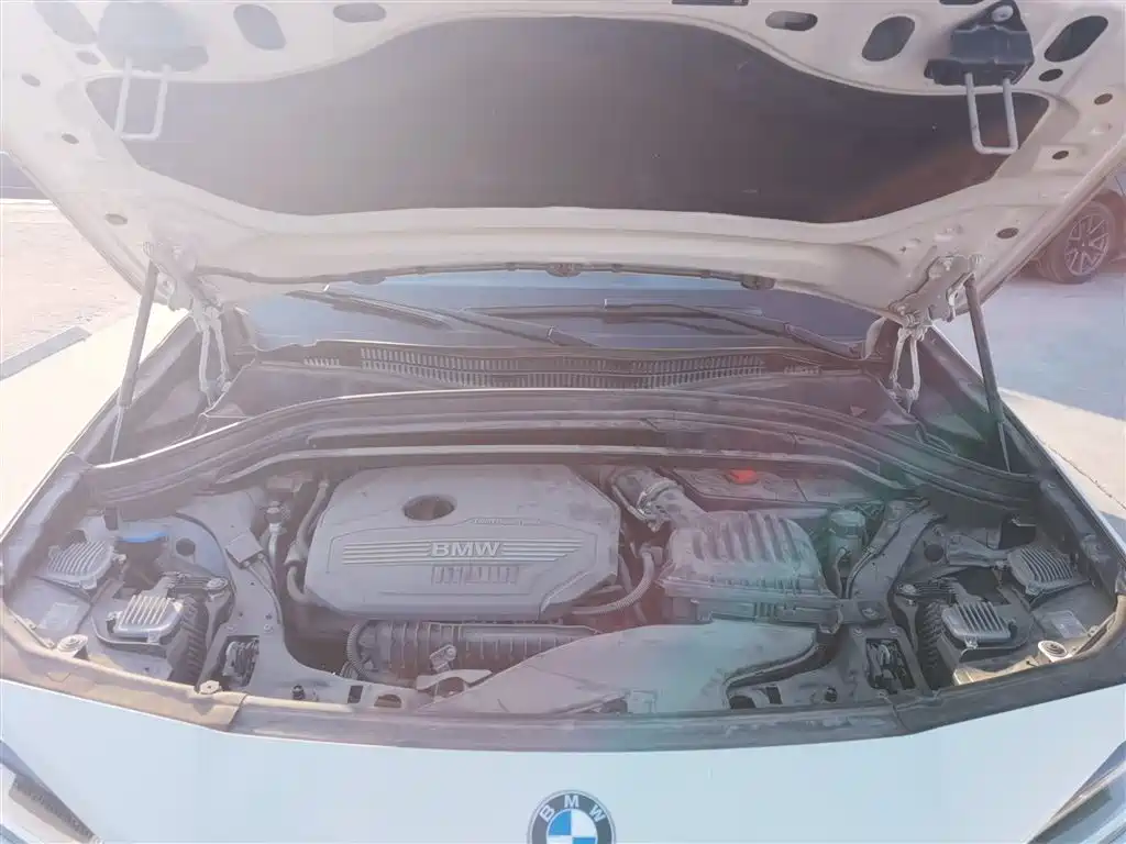 BMW X2 (Import) 2019 sDrive20i M Off-Road Package China VI фото 10