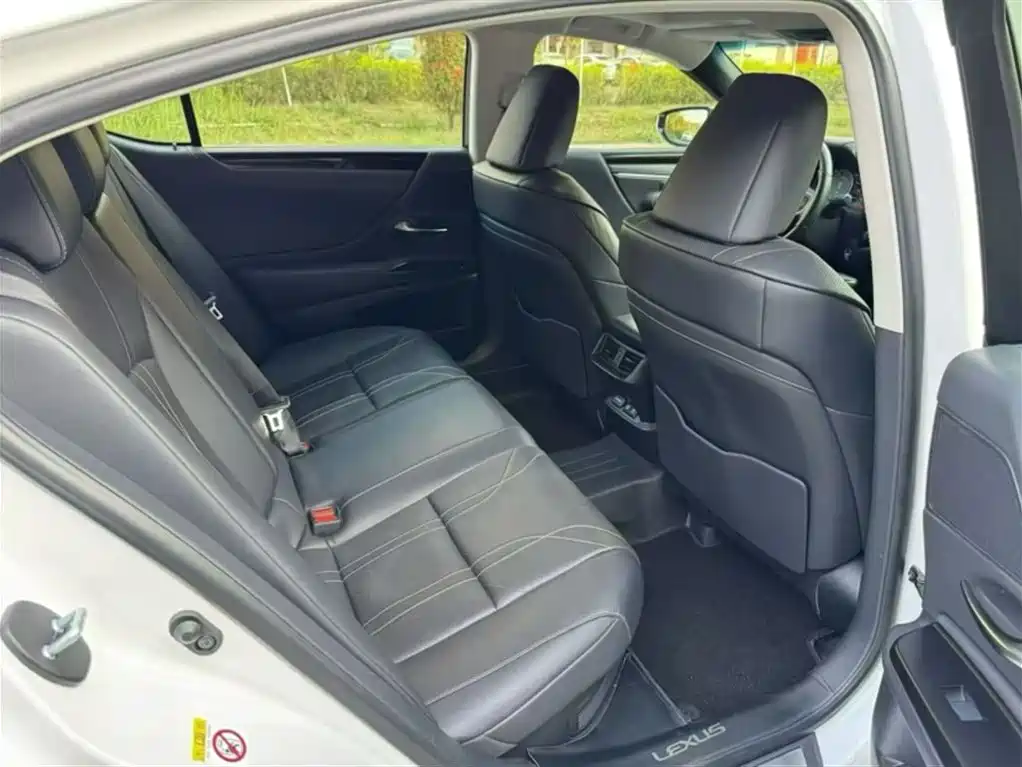 Lexus ES 2018 300h Premium Edition China V фото 13