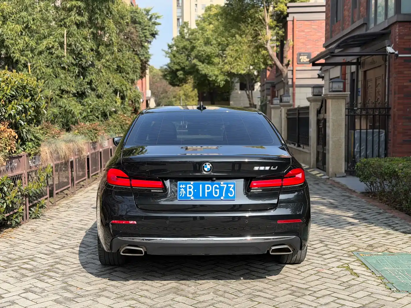 BMW 5 Series 2021 525Li Luxury Package фото 5