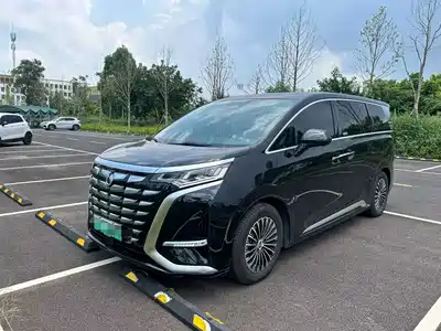 Denza D9
