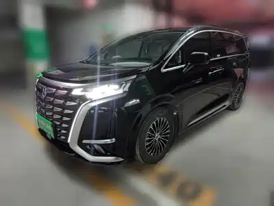 Denza D9