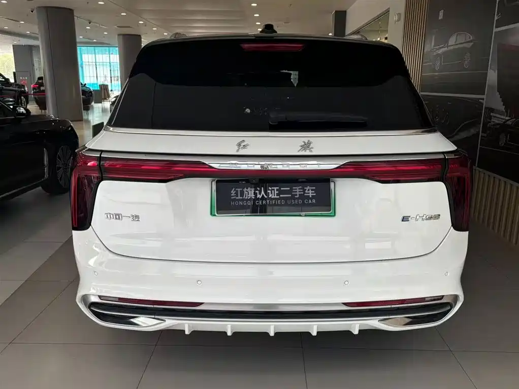 Фото 2 - Hongqi E-HS9