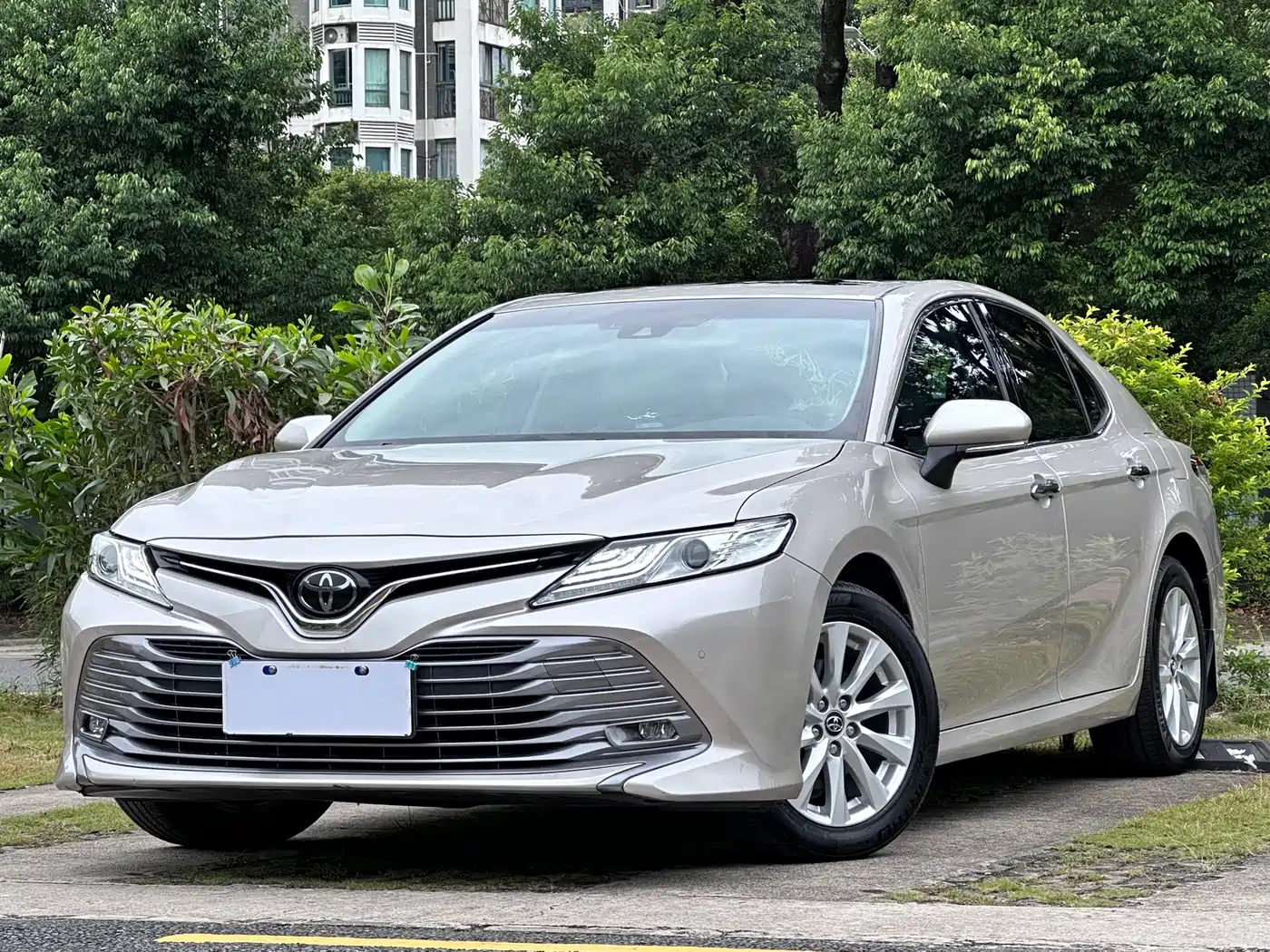  Toyota Camry 2019 2.0G Luxury (China V)