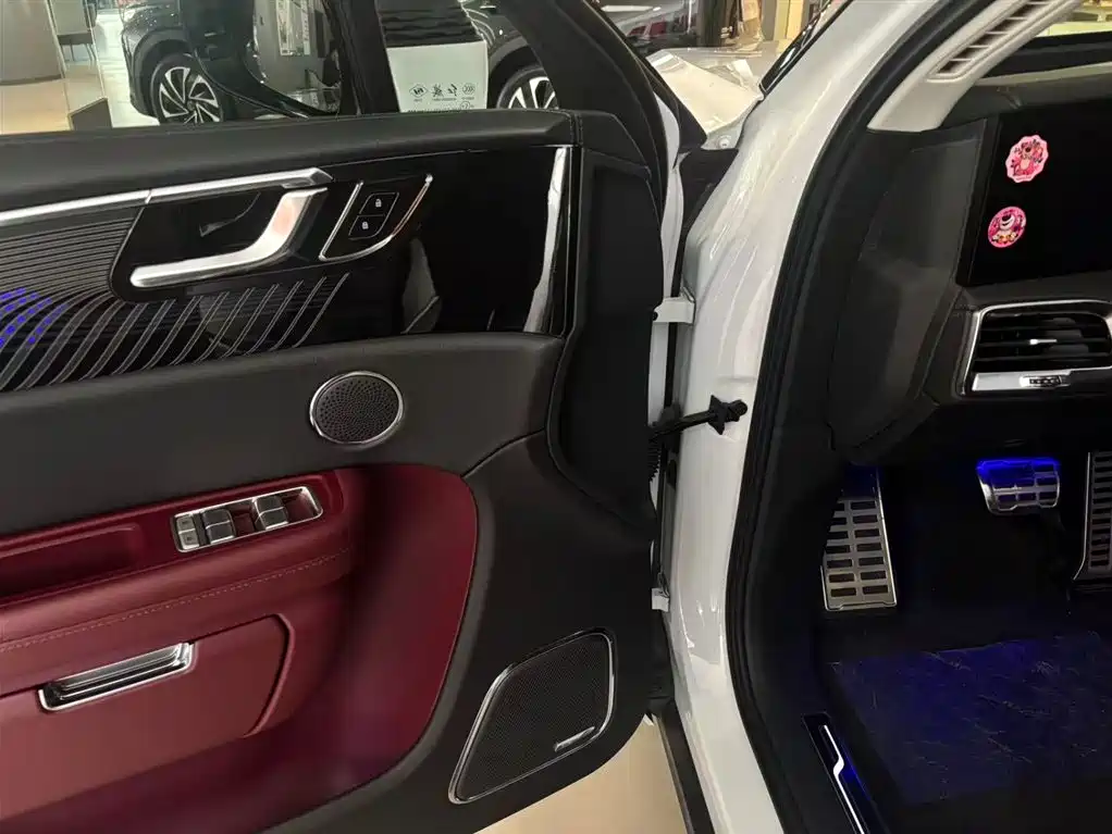 Фото 5 - Hongqi E-HS9