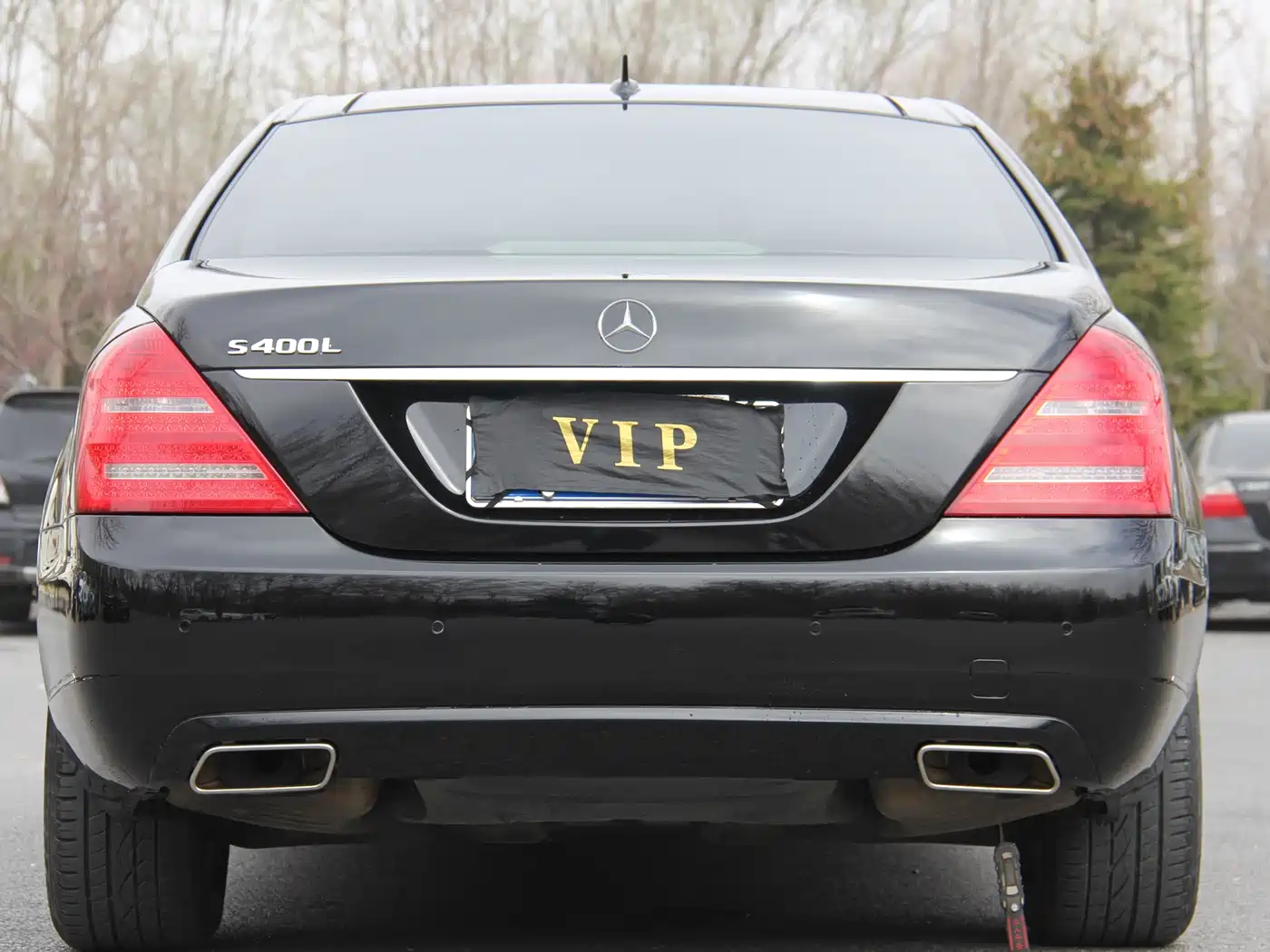 Mercedes-Benz S-Class 2010 S 300 L Premium фото 5