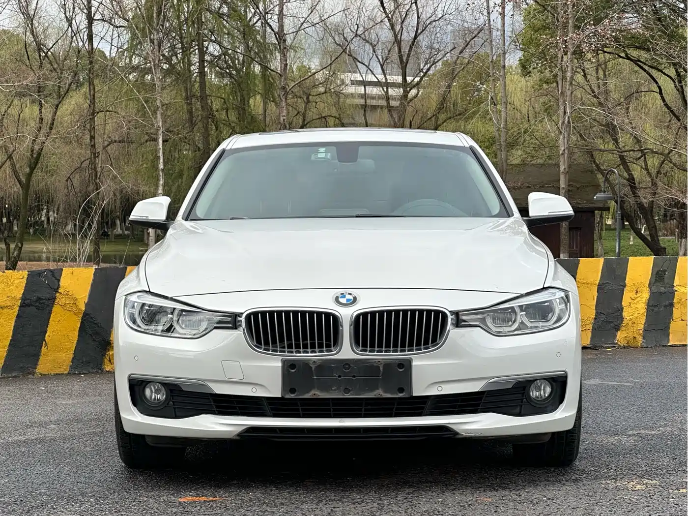 BMW 3 Series 2018 320Li Fashion Style фото 2