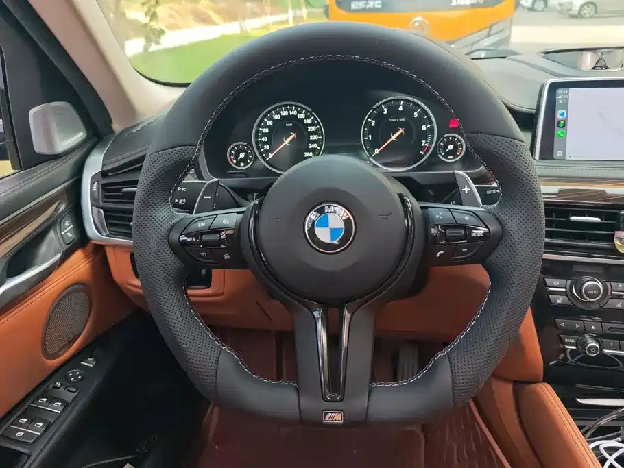 صورة 15 - BMW X6