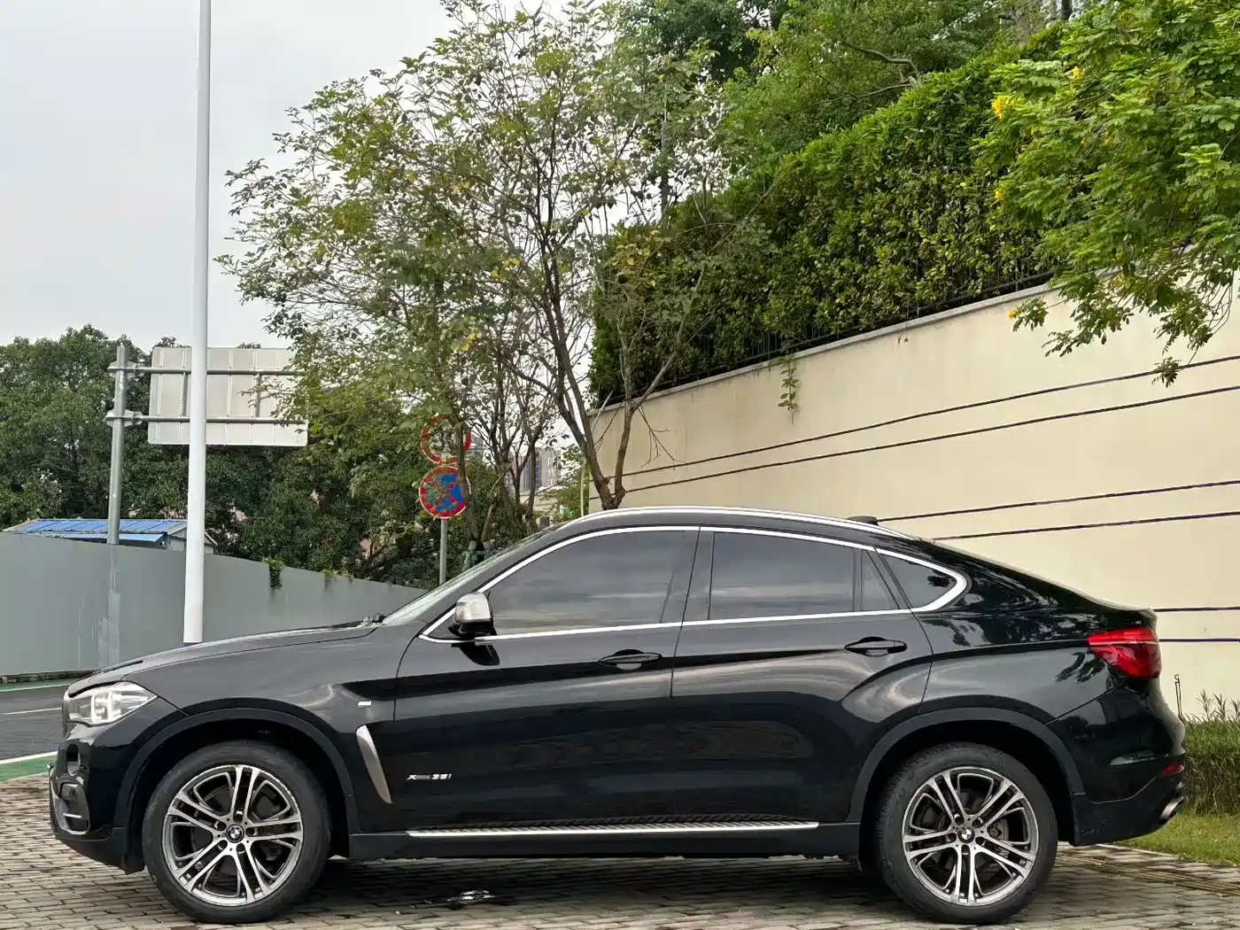 صورة 3 - BMW X6