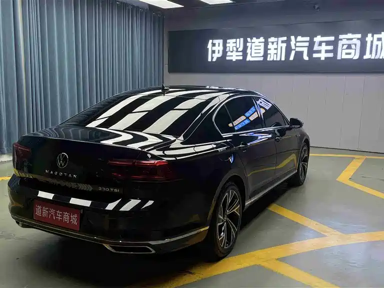Volkswagen Magotan 2020 330TSI DSG Luxury фото 8