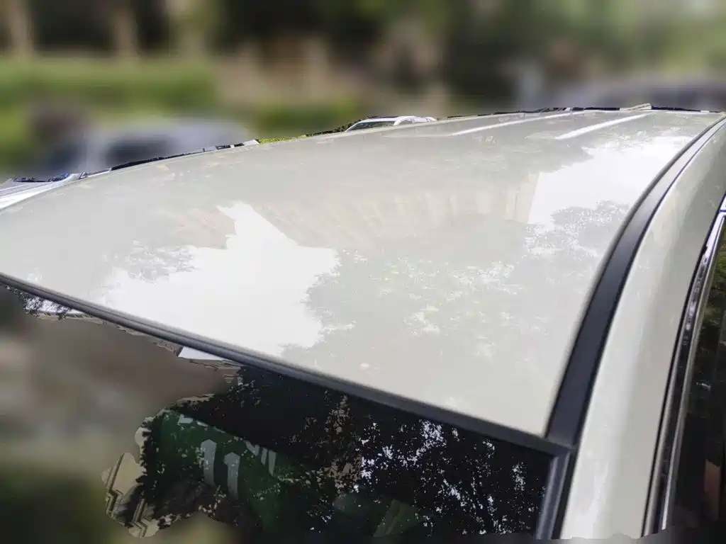 Changan Kaicheng Changan Oshan A600EV 2020 2019 EV