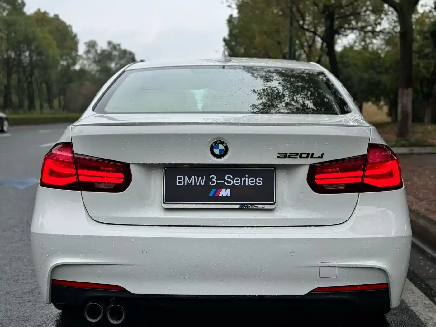 BMW 3 Series 2018 320Li M Sport Black Night Edition фото 8