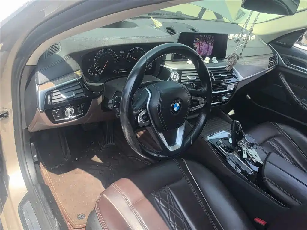 BMW 5 Series 2019 530Li Premium Luxury Package фото 6