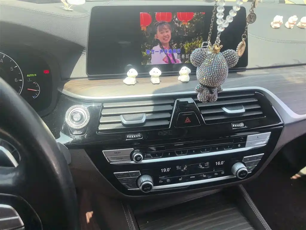 BMW 5 Series 2019 530Li Premium Luxury Package фото 9