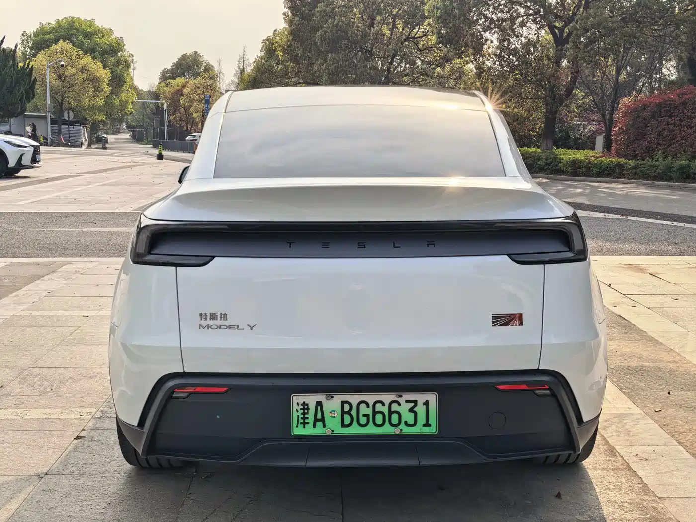 TESLA MODEL Y