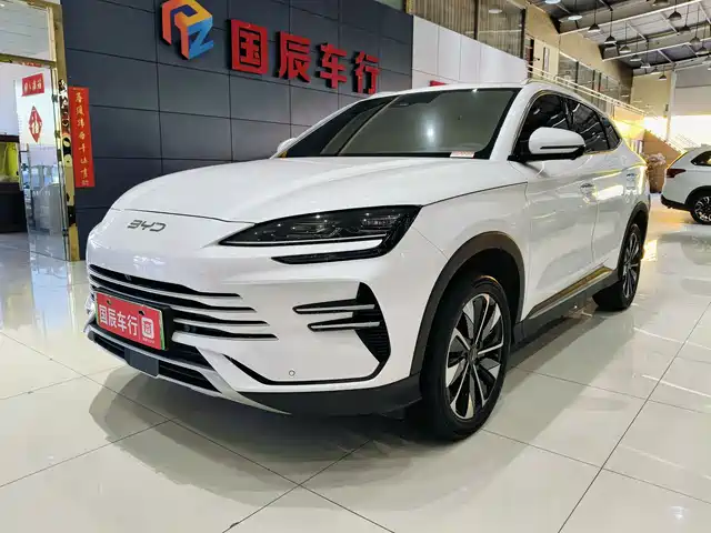 BYD SONGJIANG NEW ENERGY