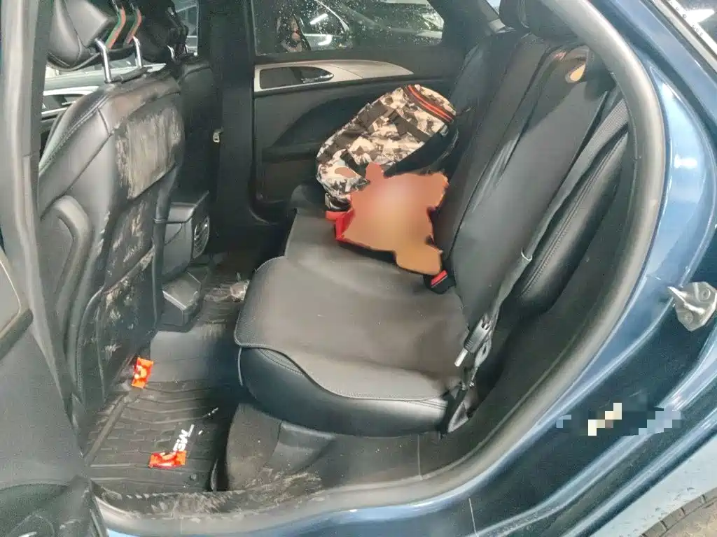 Lincoln MKZ 2020 2019 2.0T Zunya Edition China V