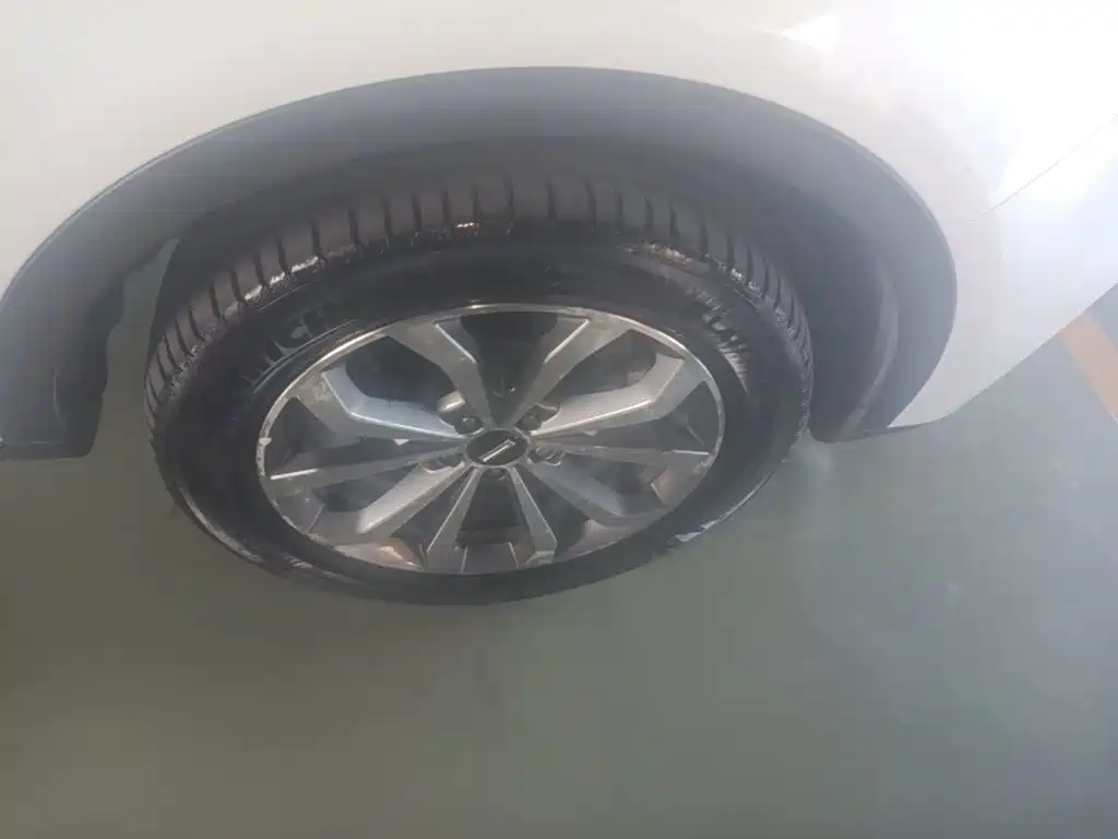 WEY VV6 2019 2018 2.0T 2WD Super Luxury China V