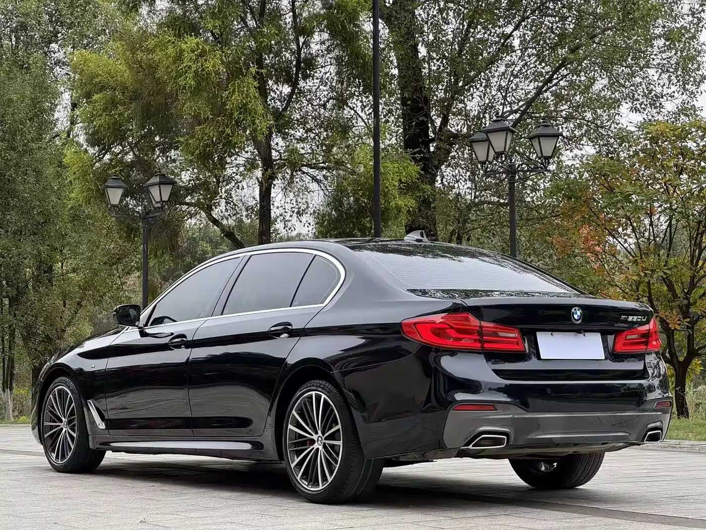 BMW 5 Series 2020 530Li Exclusive M Sport Package фото 5