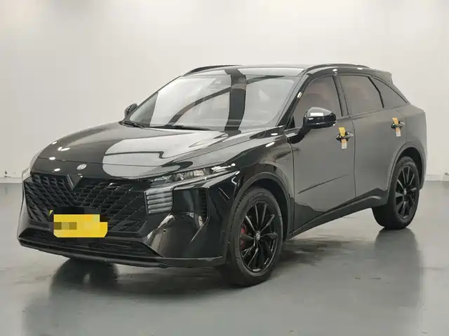 Venucia Big V 2022