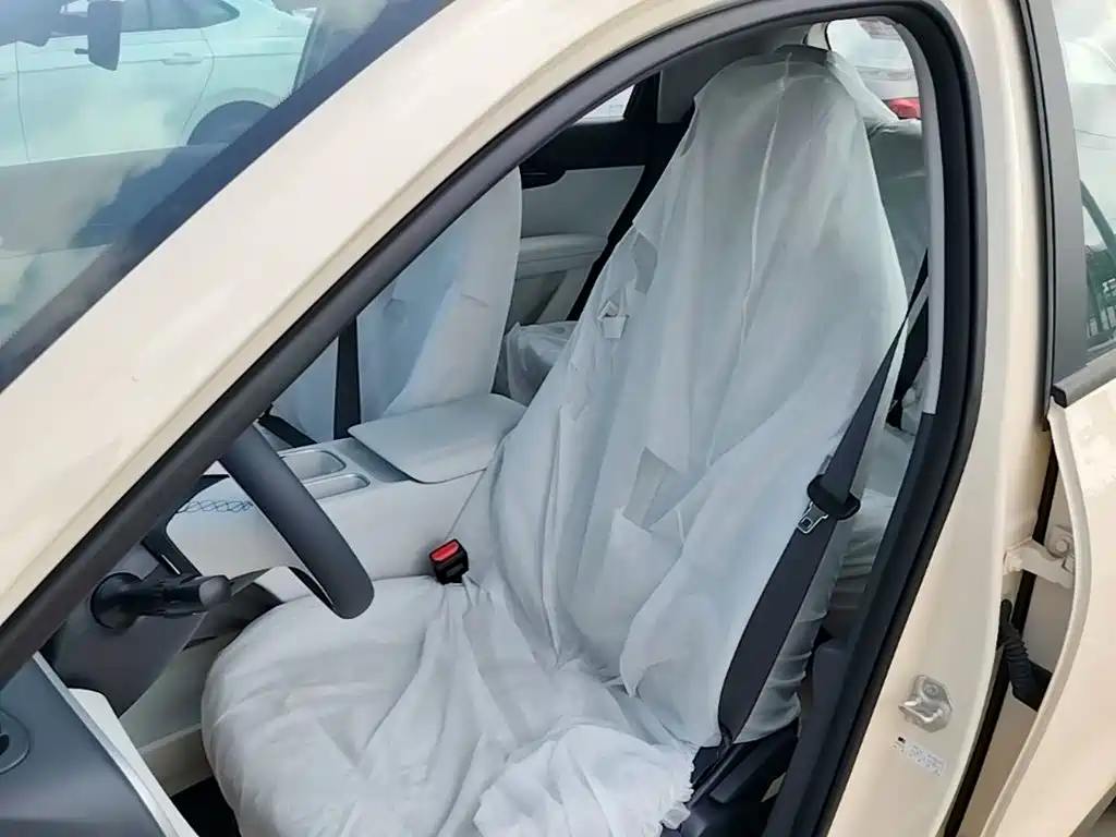 Geely Galaxy Starry Wish 2026 2026 Edition 310km Youth Version