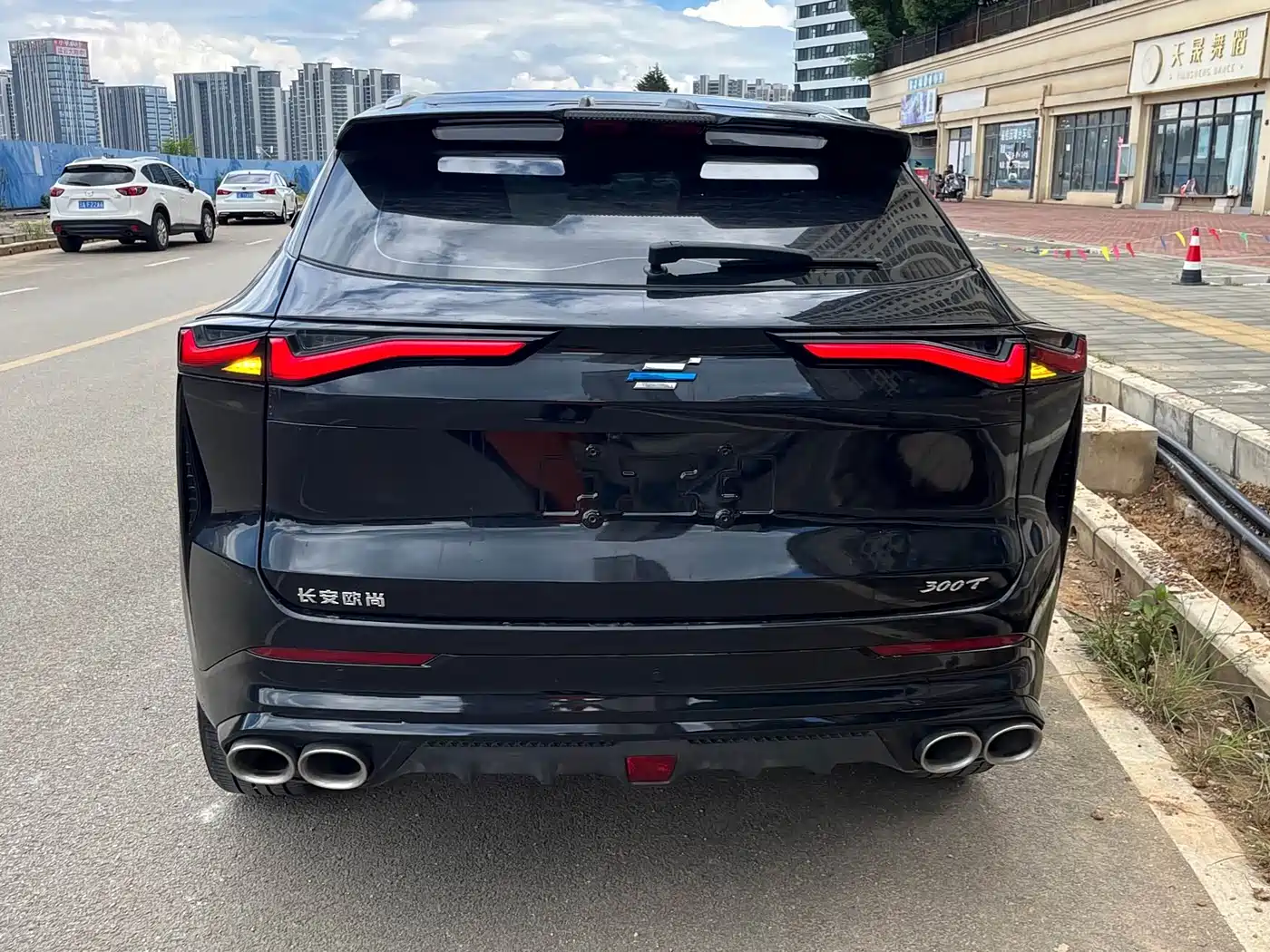 Changan Oshan Z6 2024 2022 Blue Whale 1.5T DCT Intelligent Enjoyment