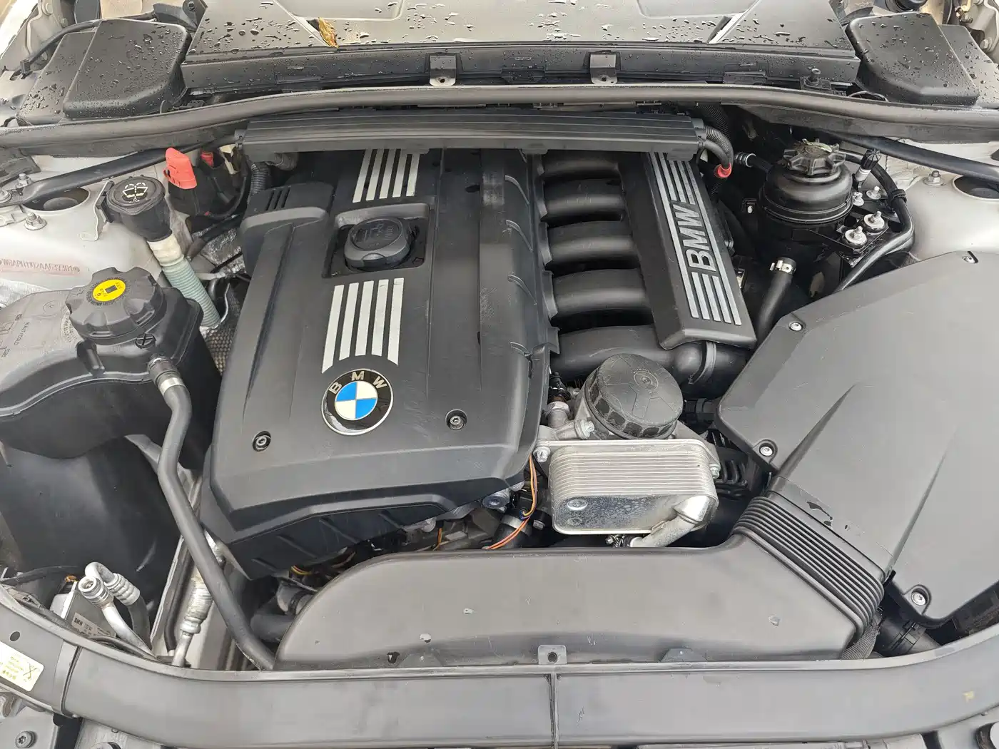 BMW 3 Series (Import) 2010 325i Luxury фото 20