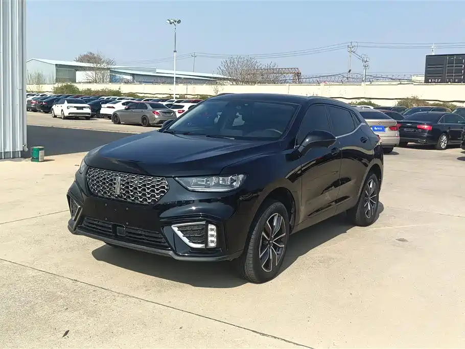 WEI PAI WEI BRAND VV5