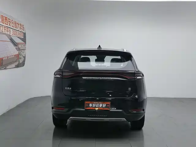 BYD Tang 2018 2.0T Automatic Smart Connection Honor Edition 7-Seater China V — фото 4