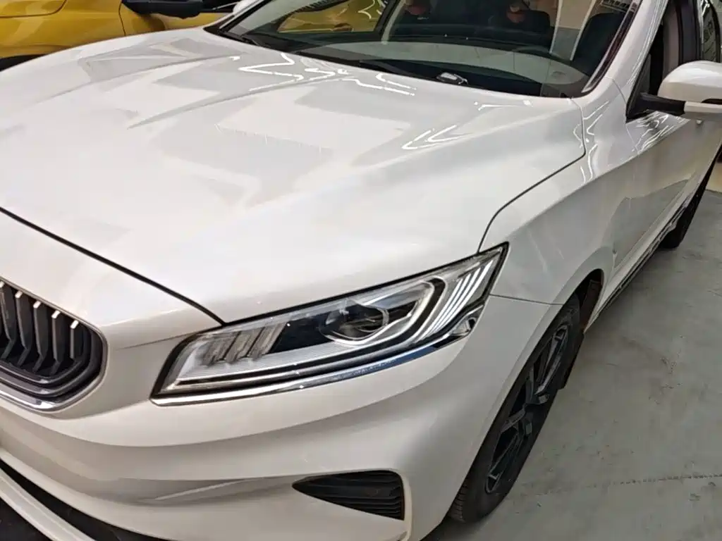 Фото 24 - Geely Borui