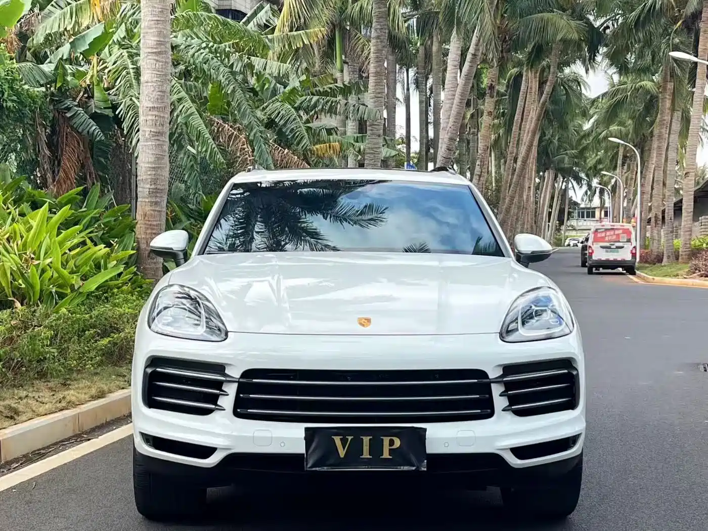 Porsche Cayenne 2019 Cayenne 3.0T фото 2