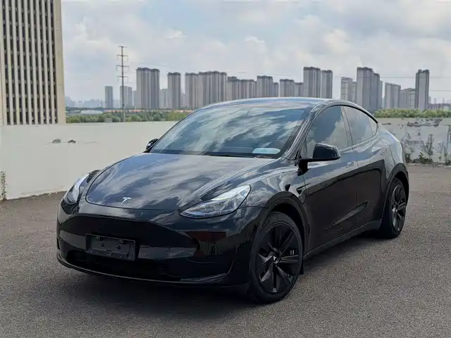 Tesla Model Y 2022 Facelift Rear-Wheel Drive Version