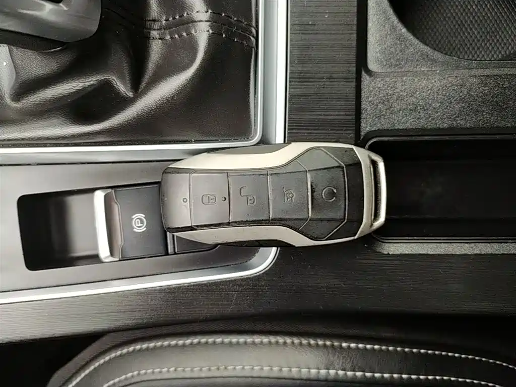 BYD Qin Pro 2020 Surpass Edition 1.5TI Automatic Flagship фото 9