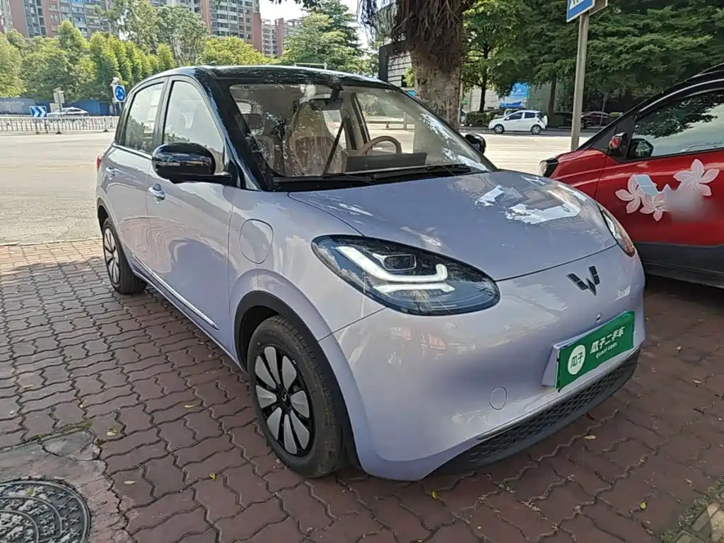 Wuling Motors Wuling Bingo 2026 2025 Model 333km Smart Premium